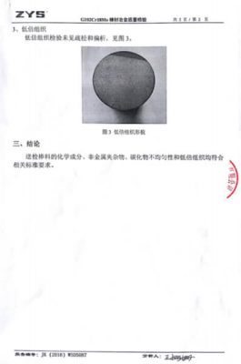 Authoritative Test Report