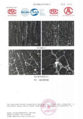 Authoritative Test Report